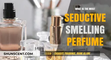 The Ultimate Seductive Scents: Perfumes to Enchant