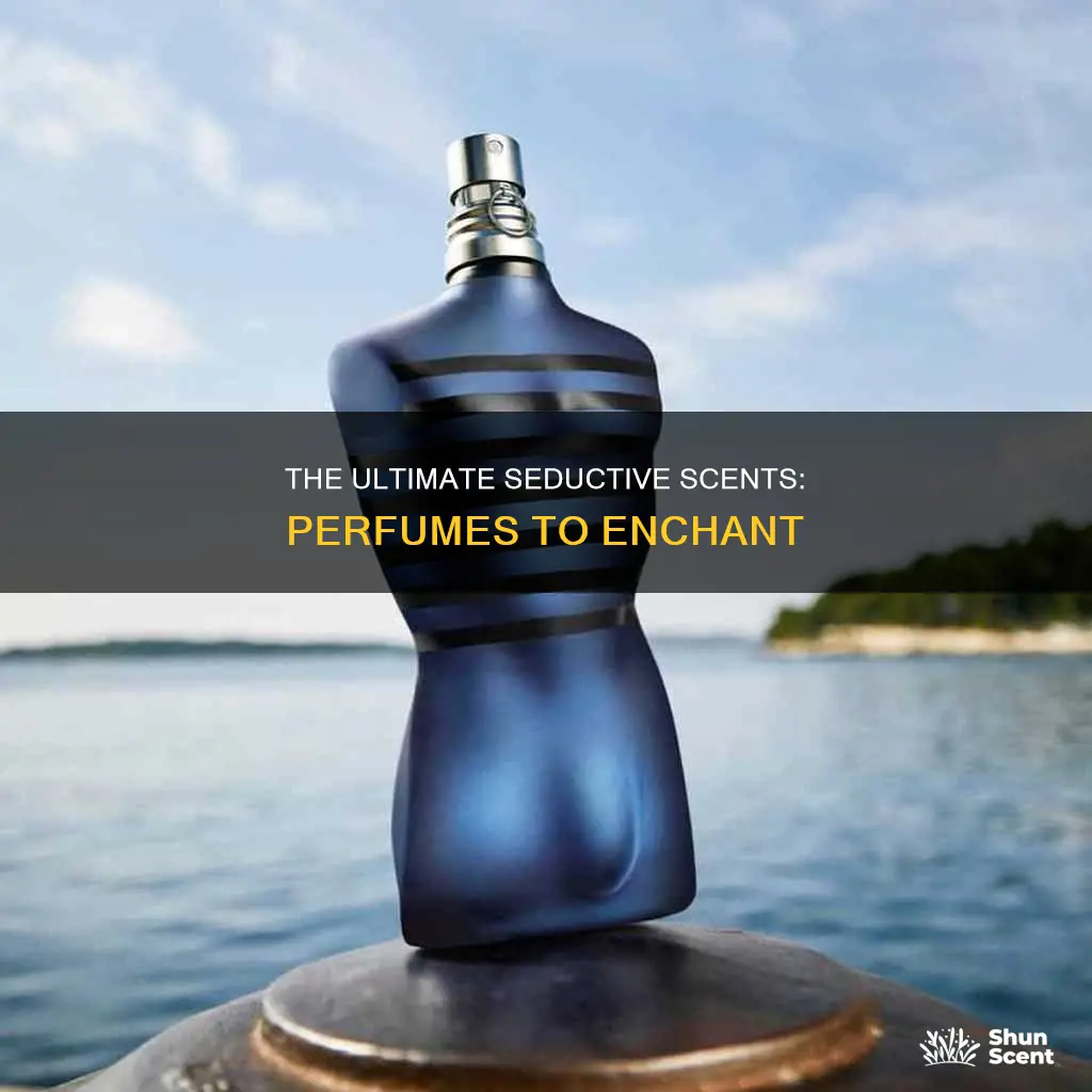 what is the most seductive smelling perfume