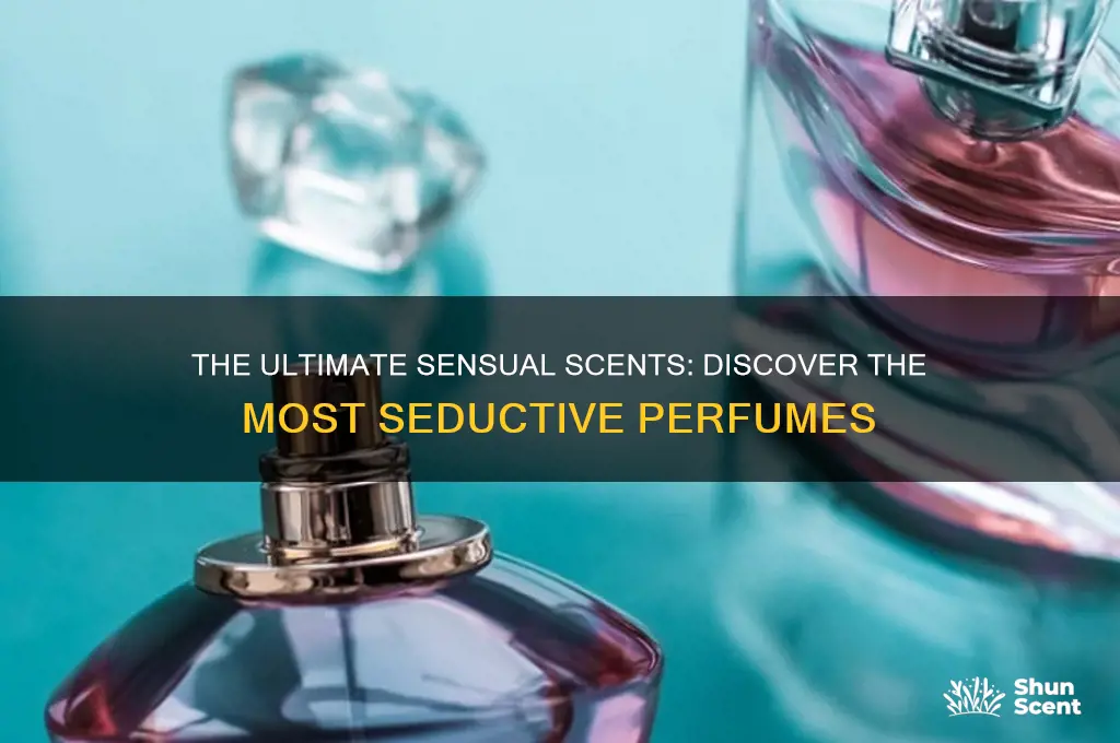 what is the most sensual perfume