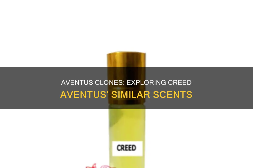 what is the most similar perfume to creed aventus