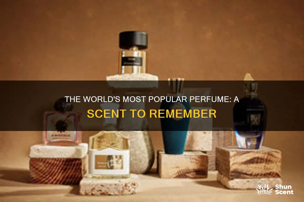 what is the most sold perfume in the world