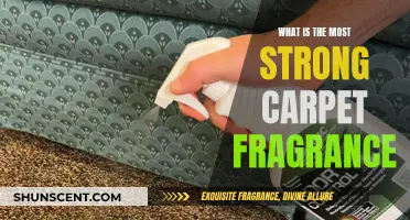 Carpet Scents: Powerful Fragrances for Long-Lasting Freshness