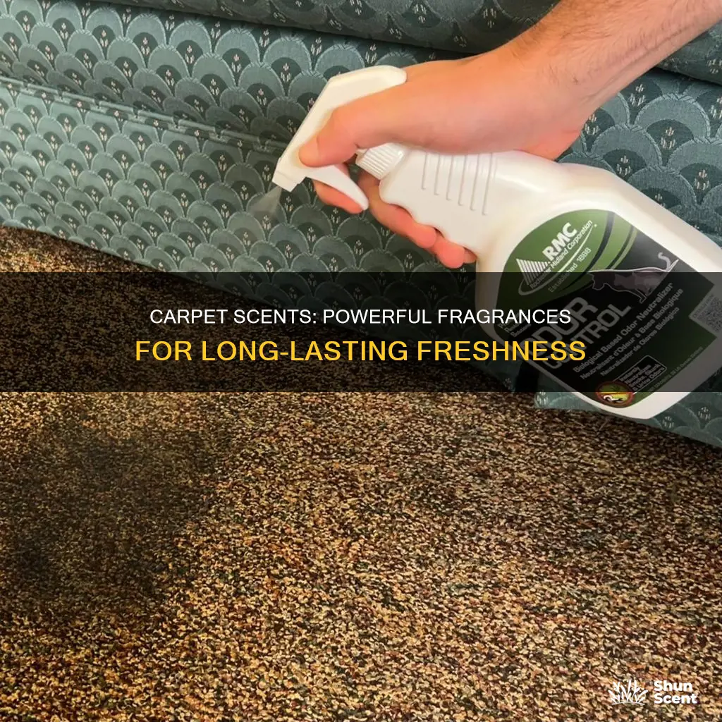 what is the most strong carpet fragrance