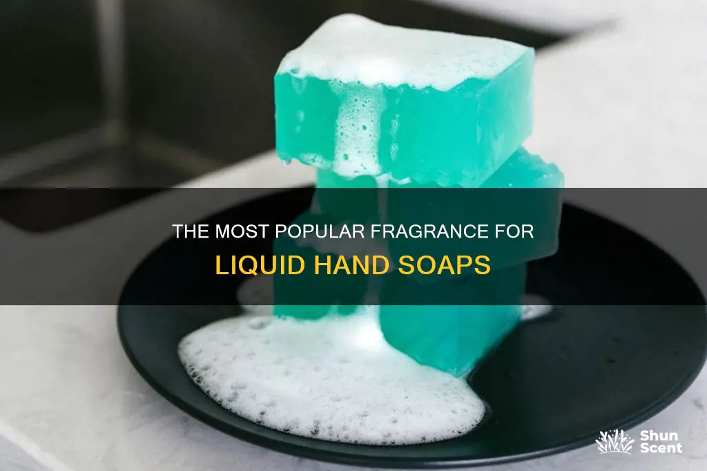 what is the most used fragrance for liquid hand soap