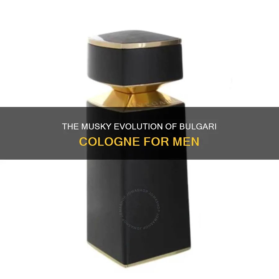 what is the muskier version of bulgari cologne for men