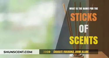 Exploring Aromatic Sticks: Unveiling the Name for Scents on Sticks
