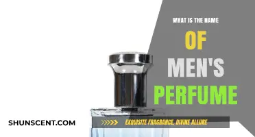 The Best Men's Colognes: A Guide to Fragrances for Men