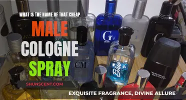 Cheap Male Scents: What's That Affordable Spray Called?