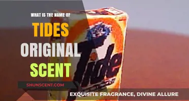 Unveiling the Original Scent of Tide: A Classic Fragrance Explored