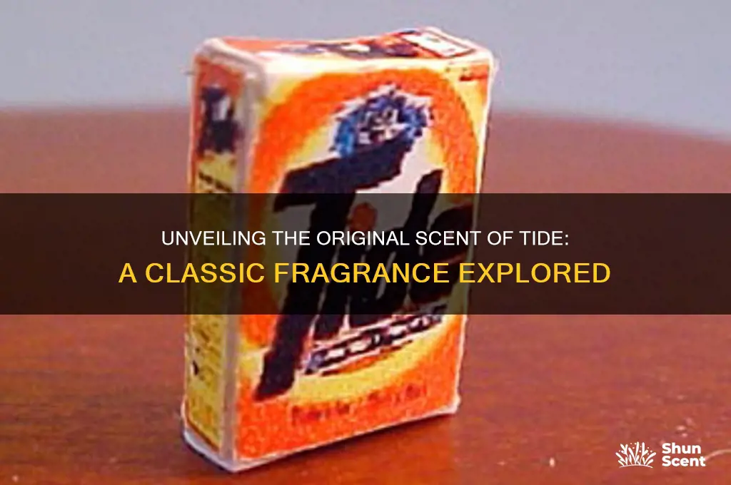 what is the name of tides original scent