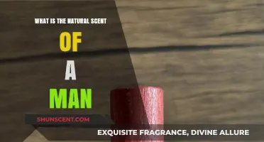 Unveiling the Natural Scent of a Man: Biology, Pheromones, and Attraction