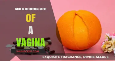 Understanding the Natural Scent of a Healthy Vagina: Facts and Myths