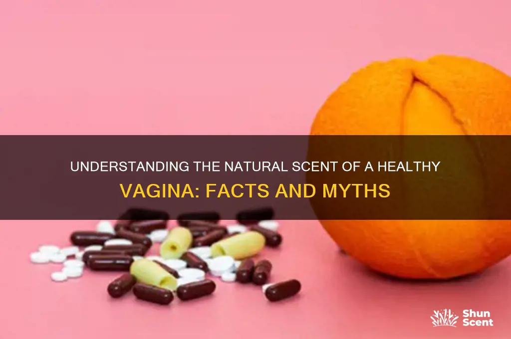 what is the natural scent of a vagina