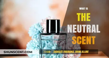 Understanding the Neutral Scent: A Comprehensive Guide to Odorless Fragrances