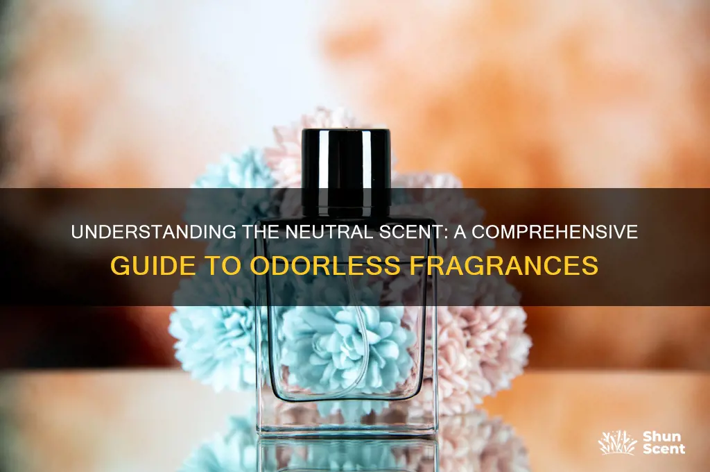 what is the neutral scent