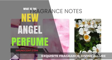 Angel Perfume: Discover the New Fragrance