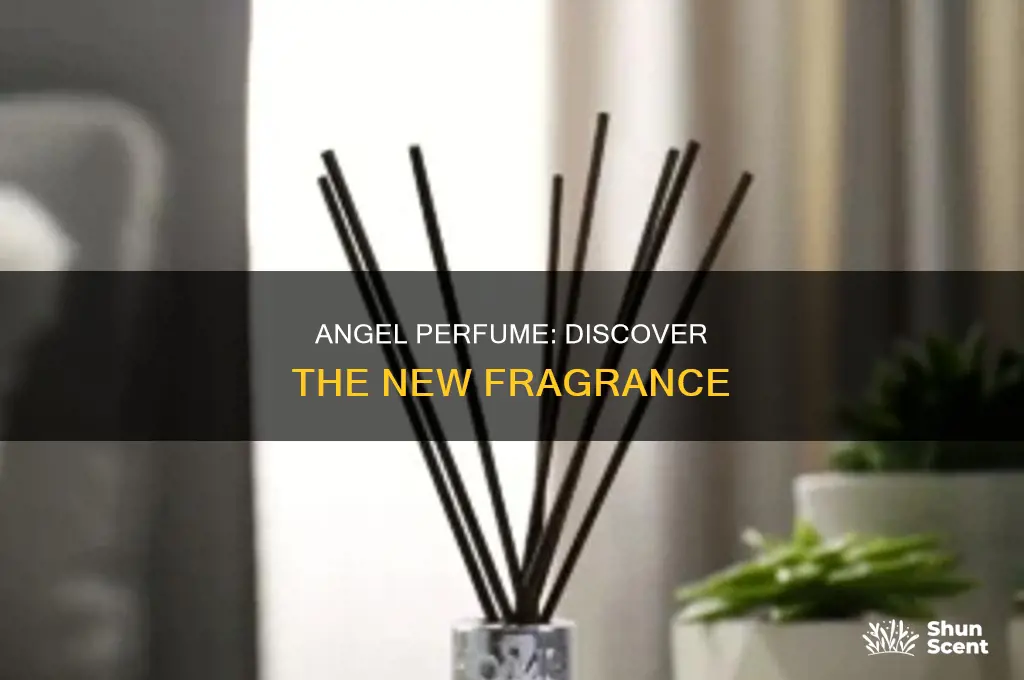 what is the new angel perfume
