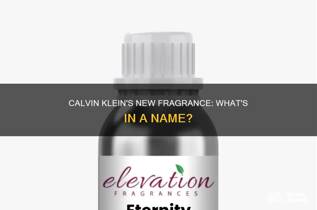 what is the new calvin klein perfume called