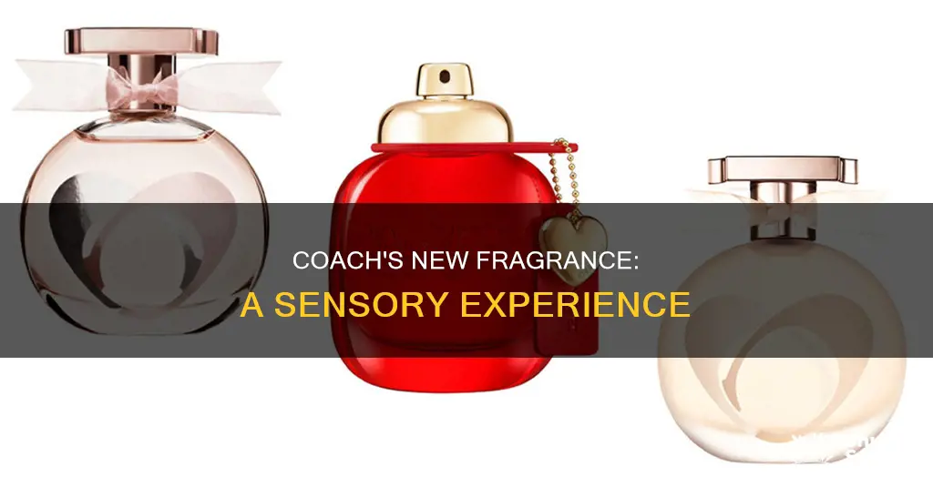 what is the new coach fragrance