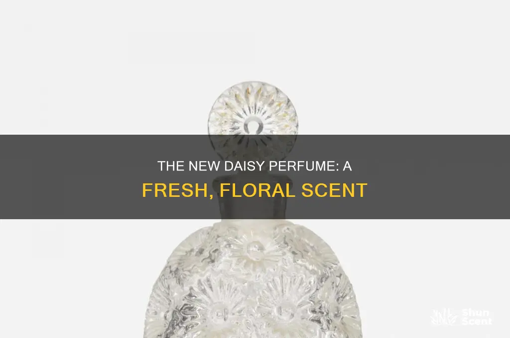 what is the new daisy perfume called