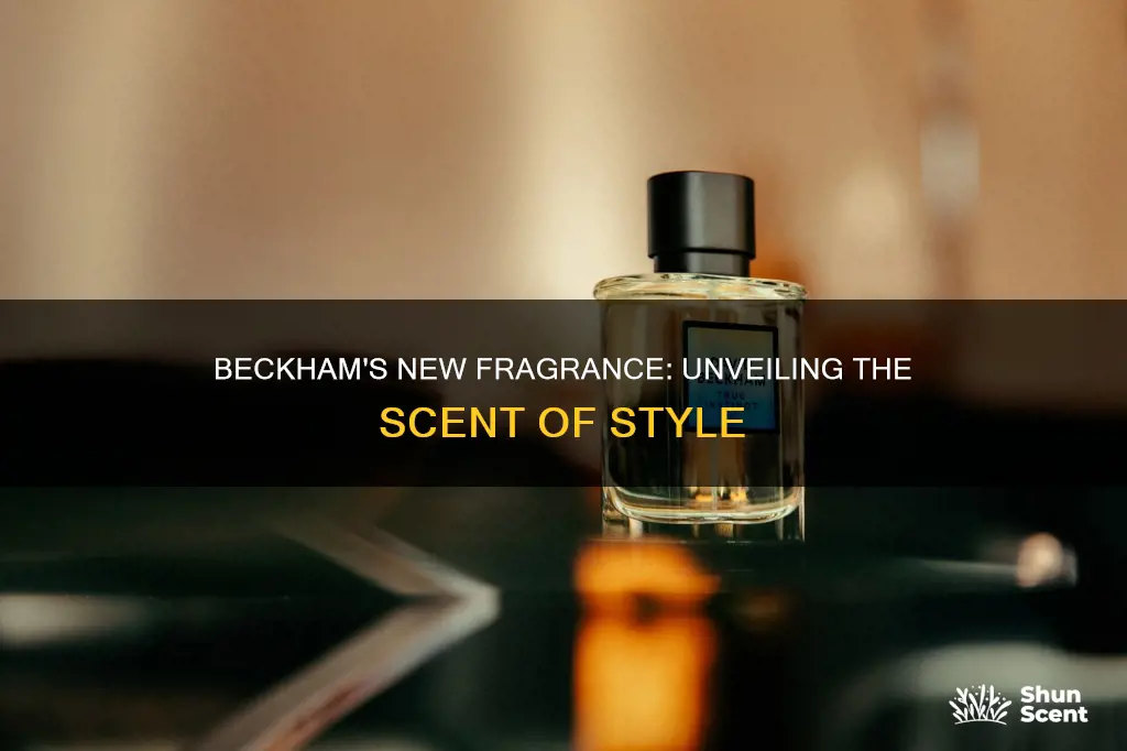 what is the new david beckham fragrance