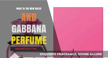 Latest Dolce & Gabbana Fragrance: An Aromatic Escape