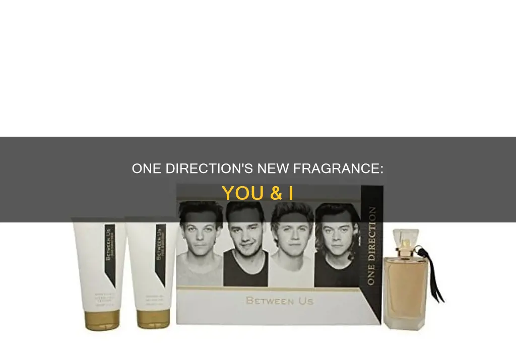 what is the new one direction perfume called
