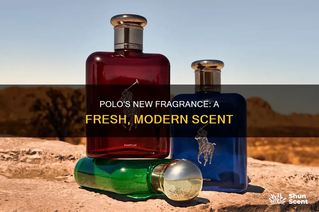 what is the new polo cologne