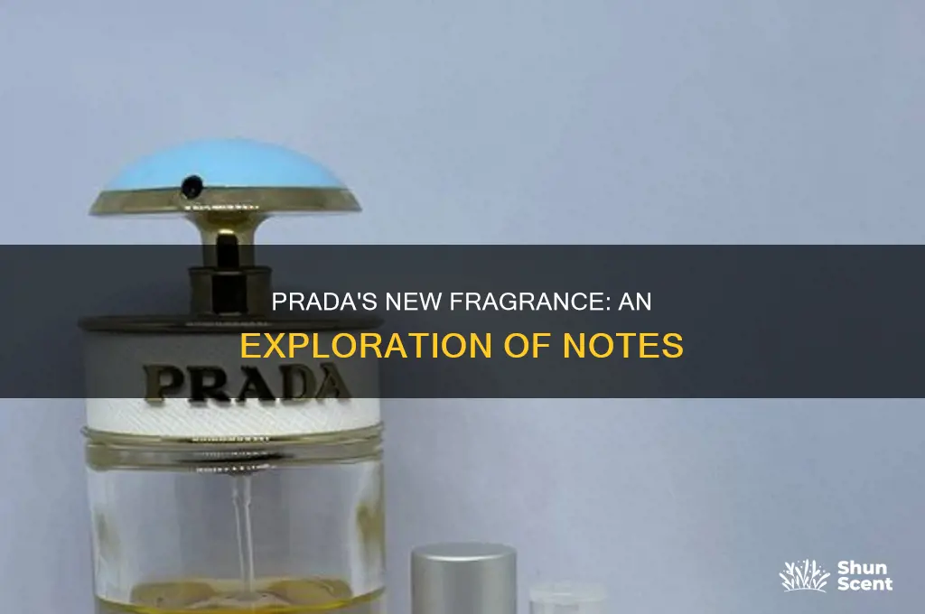 what is the new prada perfume