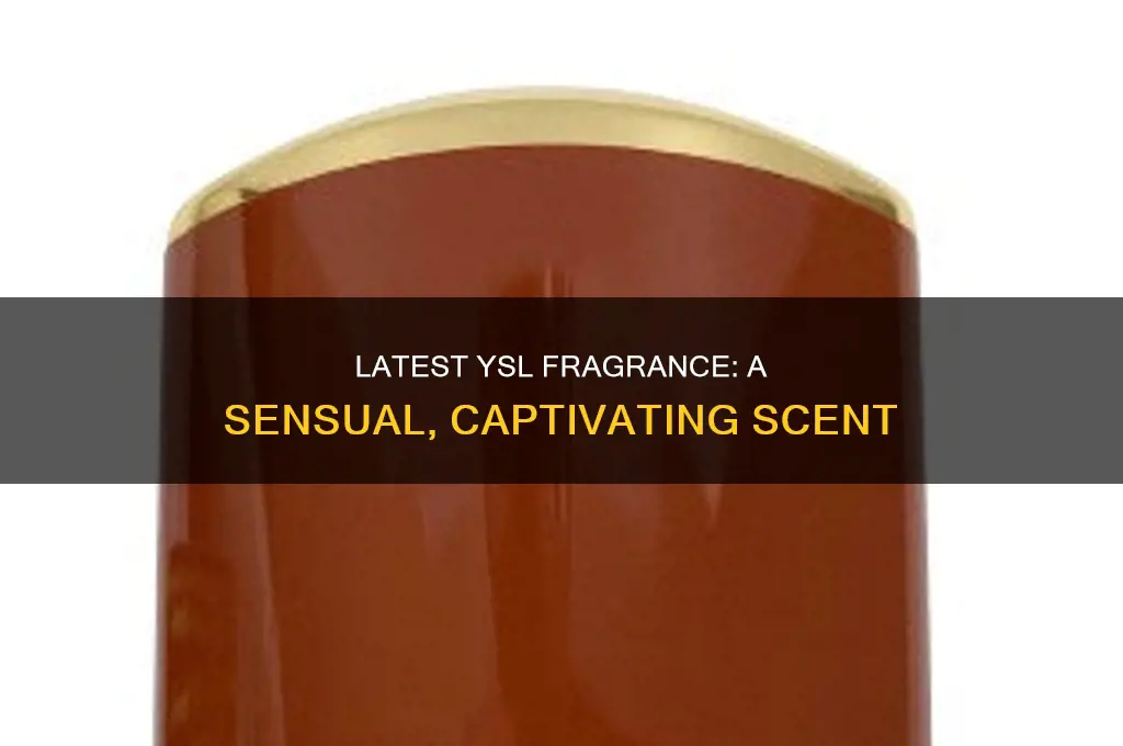 what is the new ysl perfume