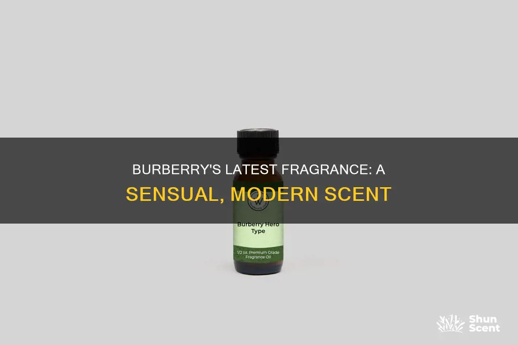 what is the newest burberry perfume