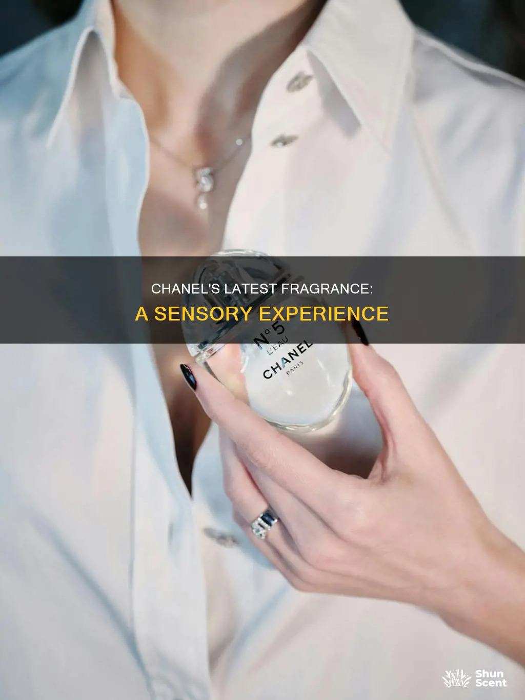 what is the newest chanel perfume