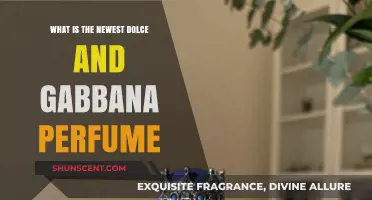 Explore the Latest Dolce & Gabbana Fragrance