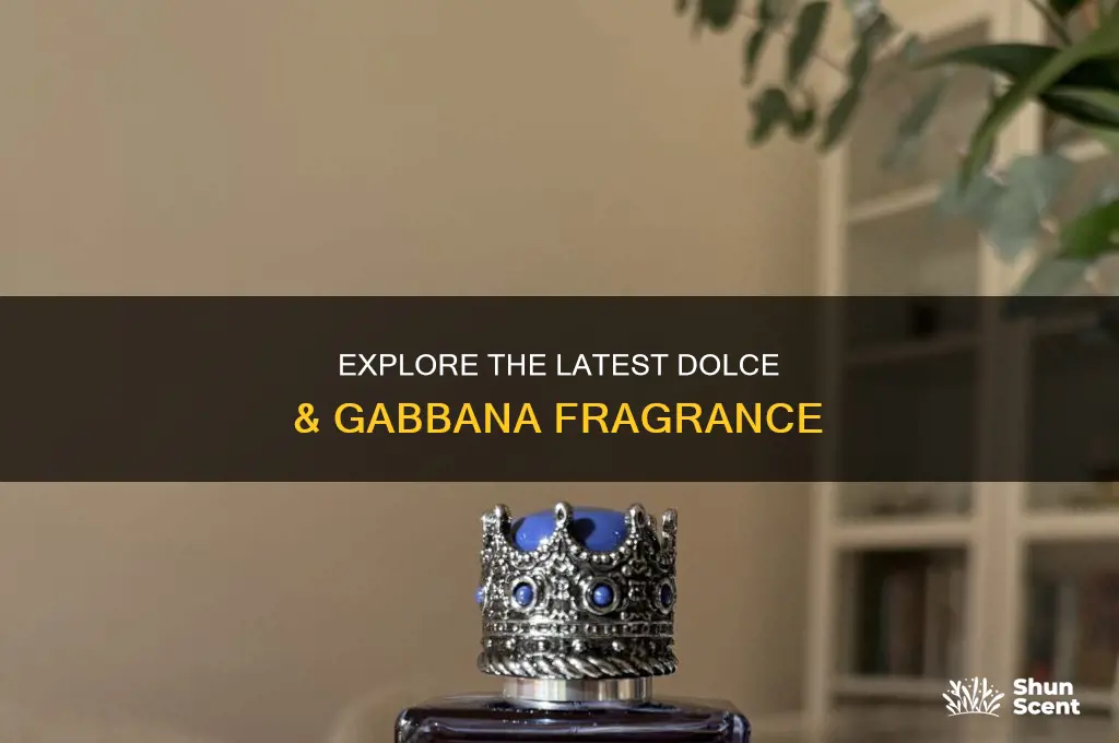 what is the newest dolce and gabbana perfume