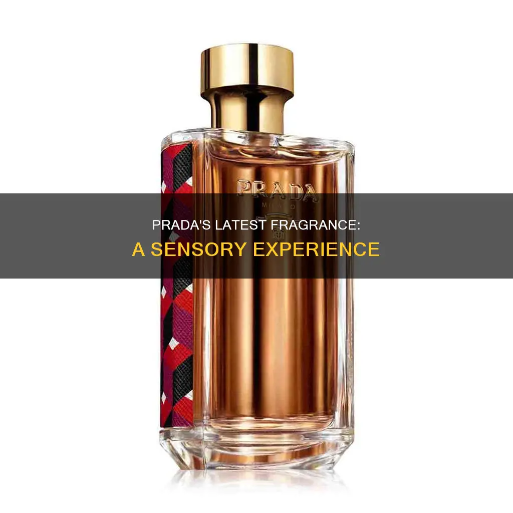 what is the newest prada perfume
