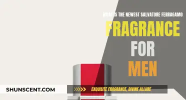 Latest Salvatore Ferragamo Men's Fragrance: A Sensory Journey