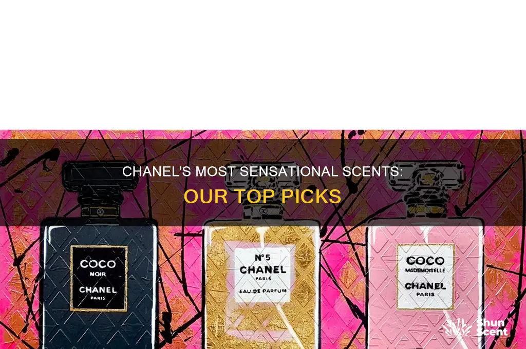 what is the nicest chanel perfume
