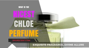 Chloe Perfumes: Discover the Most Delightful Scents