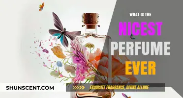 The Most Luxurious Scents: Everlasting Impressions