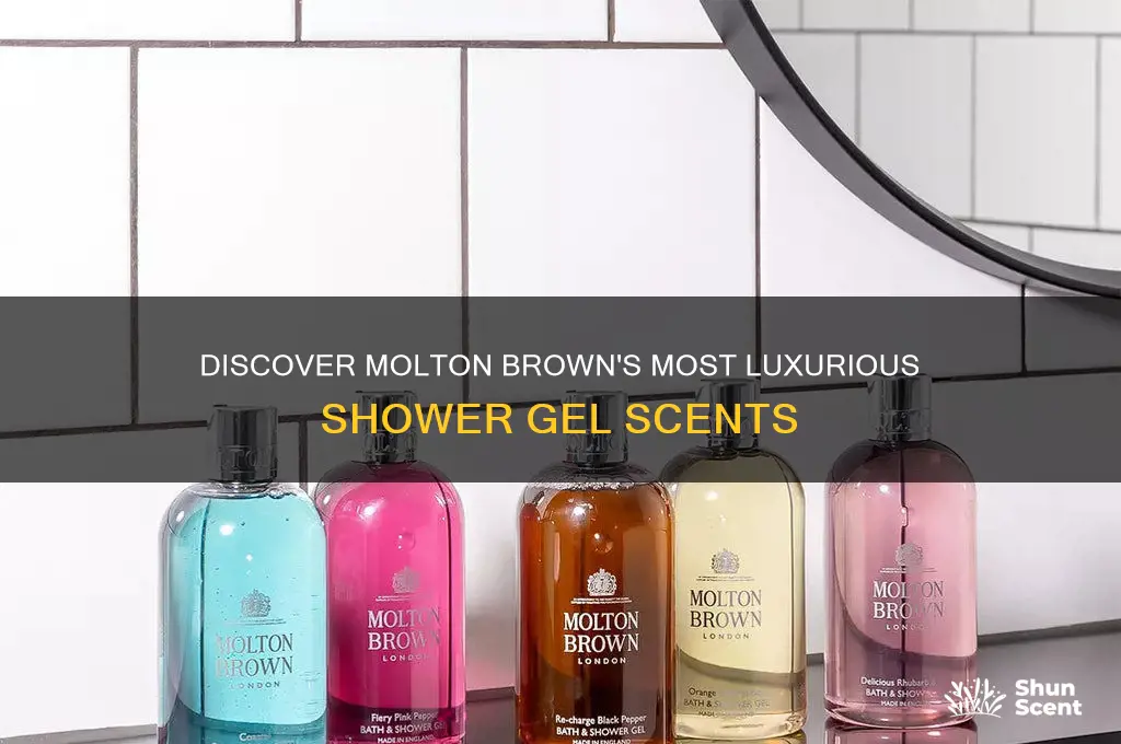 what is the nicest scent from molton brown shower gel