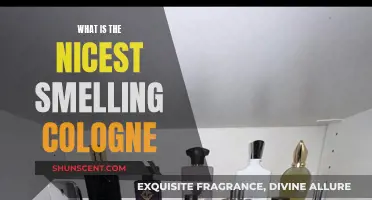 The Most Pleasant-Smelling Colognes for Men