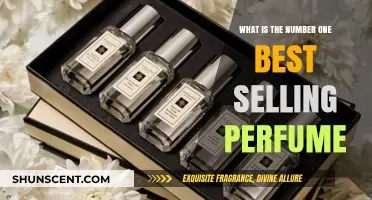 The Most Popular Perfume: A Global Favourite