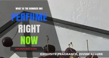 Top-Selling Perfume: What's Trending Now