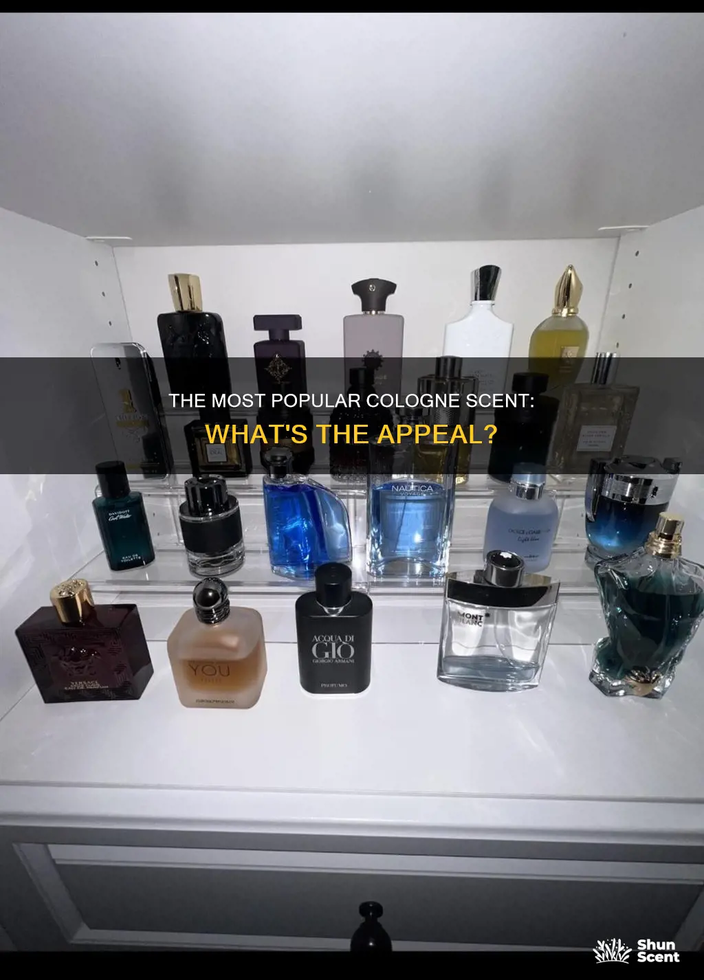 what is the number one scent in cologne