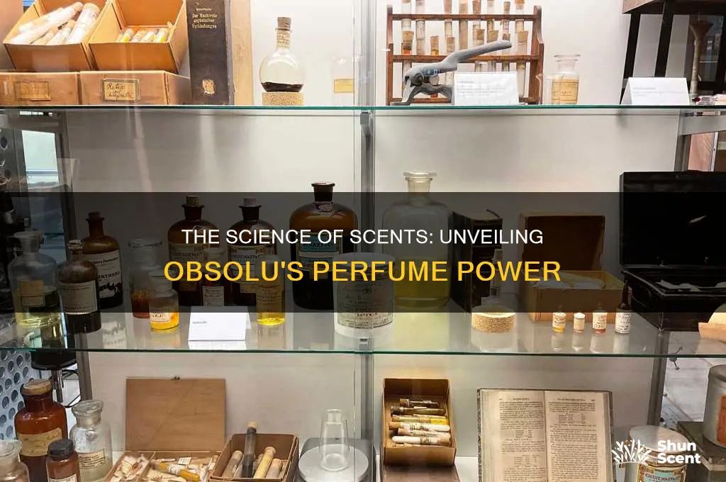 what is the obsolu on perfume