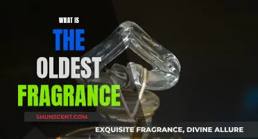 The Ancient Scents: Unveiling the Oldest Fragrances
