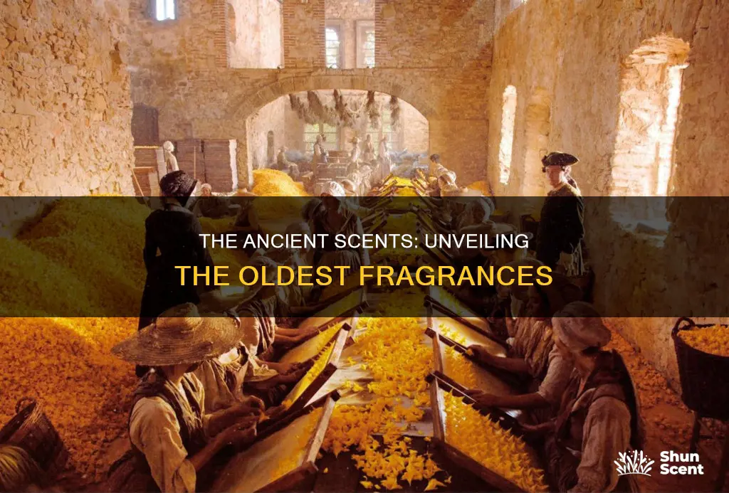 what is the oldest fragrance