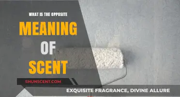 Exploring the Antithesis: What Does the Opposite of Scent Mean?