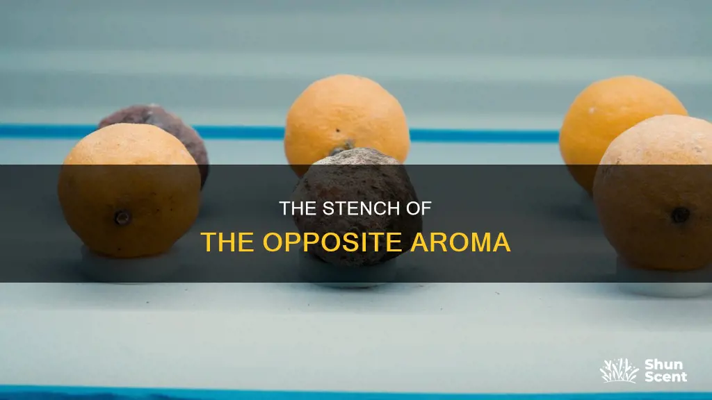 what is the opposite of aroma