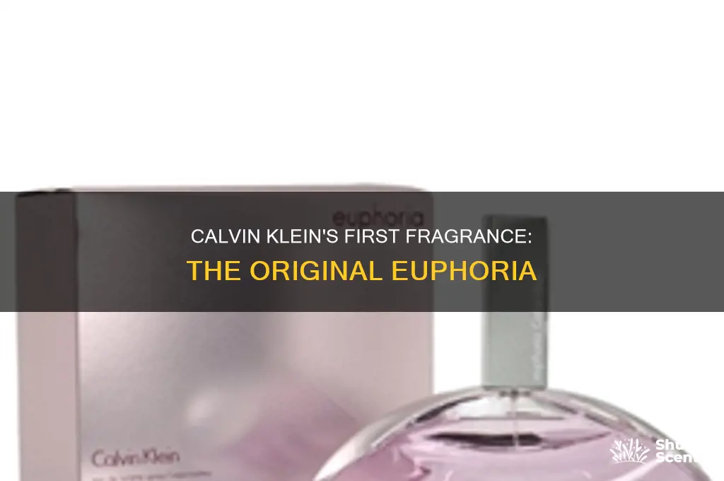 what is the original 1st euphonia calvin klein perfume
